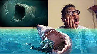 5 Most Mysterious amp Unexplained Sea Creatures REACTION [upl. by Godred72]