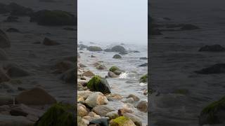 Rocky beach at Camp Hero State Park oceansounds relaxingwalk beach [upl. by Mcclenaghan]