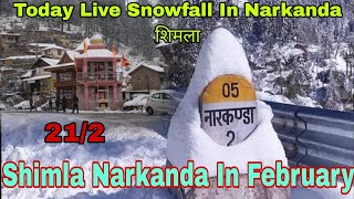 Today Live Snowfall in Narkanda  Narkanda in February [upl. by Nathan]