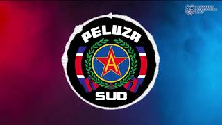 SUD STEAUA  Am fost crescuți pe stadion [upl. by Grunenwald]