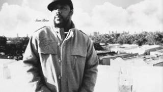 SEAN PRICE  Mega Sean [upl. by Lleynod]