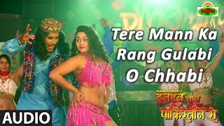 Tere Mann Ka Rang Gulabi O Chhabi Full Audio Song  Dulhan Chahi Pakistan Se  Pradeep Pandey [upl. by Ayeki5]