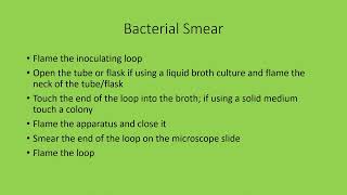 Bacterial Stain Preparation [upl. by Notyad]