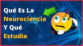 🤔 QUÉ es la NEUROCIENCIA y QUÉ ESTUDIA Neuroaprendizaje [upl. by Jesus]