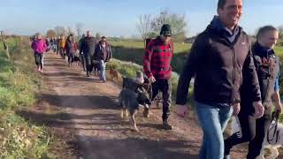 Social Walk bei Hundetrainer24 [upl. by Yemorej]