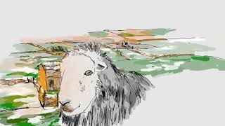 Herdwick look [upl. by Mord]