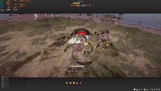 Black Desert Hashashin Succession VS Tamer Awakening  The hardest 1v1 ever [upl. by Trauner]