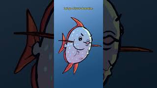 The Opah amp The Oarfish 🌡️🛶🐟 animation original cartoon [upl. by Rasaec816]