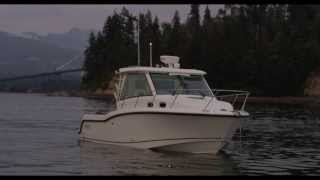 Boston Whaler 315 Conquest Pilothouse  Exploring the Pacific Northwest [upl. by Vel]