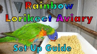 Rainbow Lorikeet Aviary Setup [upl. by Ahswat]