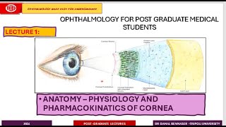 Infectious Keratitis STATE OF THE ART  1 Introduction To Cornea [upl. by Esilehc]