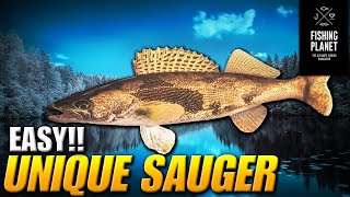 How to catch Unique Sauger on Emerald Lake  Fishing Planet [upl. by Eglantine]