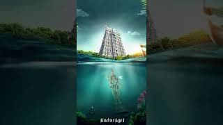 Tiruchendur Murugan WhatsApp Status Tamil Devotional Songs lordmurugantemple tamil god ஓம்சரவணபவ [upl. by Alie]