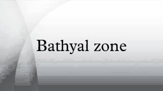 Bathyal zone [upl. by Casper]