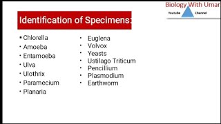 Biology Practical Second Year Biology Identification of Specimen Biology With Umar [upl. by Aicatsana]