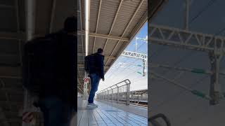 Odawara Shinkansen Platform Shinkansen spotting [upl. by Brote329]