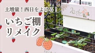 DIY･Garden ｜ガーデニングの小さな楽しみ🍓いちご棚をリメイクする🍓｜ Remaking a new strawberry raised bed [upl. by Yesnyl634]