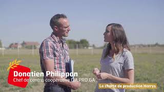 Le bonheur est dans le blé  Episode 2  rencontre avec Donatien Philippon [upl. by Orimlede]