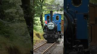 Did you know Rev Awdry wrote our engine Douglas into the Railway Series books as “Duncan” talyllyn [upl. by Krystle]