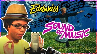 quotTHE SOUND OF MUSICquot  EDELWEISS  TAY ZONDAY [upl. by Nnylyam]