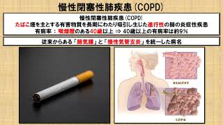 閉塞性換気障害の種類及び病態に関する知識 ①！？ 慢性閉塞性肺疾患COPD ～No 69 理学療法士国家試験対策 シリーズ～ [upl. by Katey]