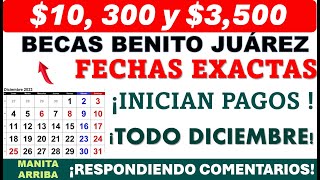 💥10 300 y 3500 💥¡SE CONFIRMAN PAGOS Becas Benito Juárez  ¡Ya consulta la fecha exacta de pago [upl. by Nonnac]