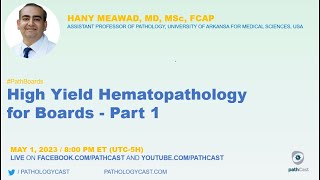 PATHBOARDS High Yield Hematopathology for Boards  Part 1 [upl. by Harrington]