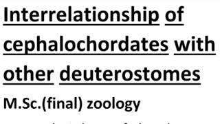 Interrelationship of cephalochordates with other deuterostomes [upl. by Kask388]