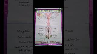 Infertility chart kaise banaye [upl. by Halimaj855]