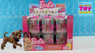 Barbie Loves Pets Series 13 Blind Bag Figure Opening Review [upl. by Liagibba]