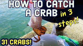 CRABBING in DARTMOUTH 2022 Easy Tips How to Catch a Crab Go crabbing with your kid crabbinguk [upl. by Leirraj]