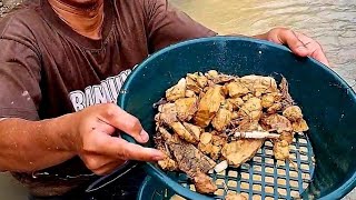 Gold mining in the forest using a mini gold filter box [upl. by Alastair]