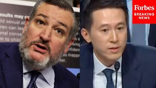 Ted Cruz Asks TikTok CEO Point Blank What Happened In Tiananmen Square At Child Safety Hearing [upl. by Elleryt]