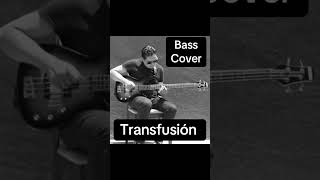 transfusion bass cover rockmexicano bajista bassist [upl. by Herbie106]