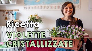 VIOLETTE CRISTALLIZZATE  ricetta facile e veloce 🌸 [upl. by Seaden]