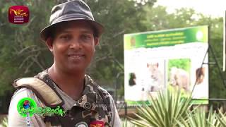 Sobadhara  සොබාධාරා  Season 2  Episode  39  20181012  Rupavahini Documentary [upl. by Sillyrama867]