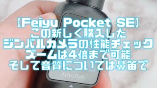 【Feiyu Pocket SE】この新しく購入したジンバルカメラの性能チェック。ズームは4倍まで可能。そして音質については鼻笛で。 [upl. by Jenine]