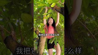 ফল পাড়তে গিয়ে গাছ থেকে পড়ে গেলামfruit [upl. by Asset748]