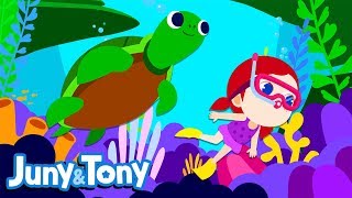 Sea Animals  Animals Songs for Kids  Preschool Songs  JunyTony [upl. by Halda]