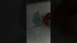 drawing Squirtle part 1 👇 [upl. by Maureen]