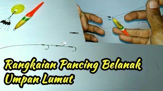 Cara membuat rangkaian Pancing Belanak  Umpan Lumut how to make a moss fishing line Mullet Fish [upl. by Luce398]