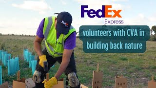 FedEx Express on volunteering with CVA buildbacknature [upl. by Eidua642]