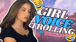 GIRL VOICE TROLLING DOWN BAD TEENAGERS in VALORANT [upl. by Hepsibah]