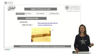 Fibra textil lino  1728  UPV [upl. by Tiny698]