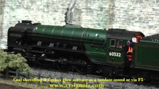 Farish N Gauge Class A2 Blue Peter 372388 with DCC Sound Oil Lamps amp Firebox Glow [upl. by Yelsna]