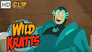 Wild Kratts  Martin Becomes a Barnacle [upl. by Thomasine]