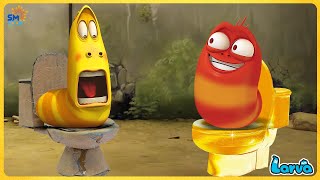 LARVA SEASON 1 EPISODE 291 SIMPLE SMILE  SMToon Asia [upl. by Bobbye362]