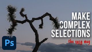 How to Make Complex Selections in Photoshop [upl. by Tekcirk]