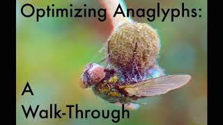 Optimizing Anaglyphs a WalkThrough [upl. by Jehiel80]