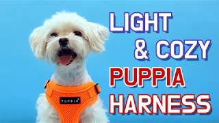 PUPPIA US Harness Introduction  C Style [upl. by Vallery539]